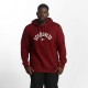 Ecko Unltd. / Hoodie Base in red