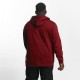 Ecko Unltd. / Hoodie Base in red